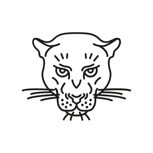 Agence La Panthère, agence web Lyon, création logo Lyon